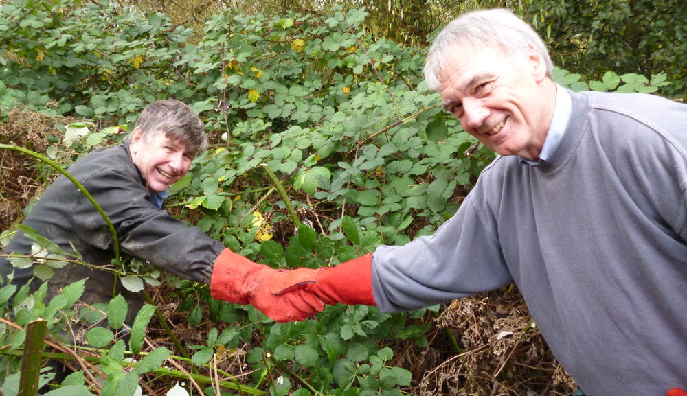 Cutting through brambles 