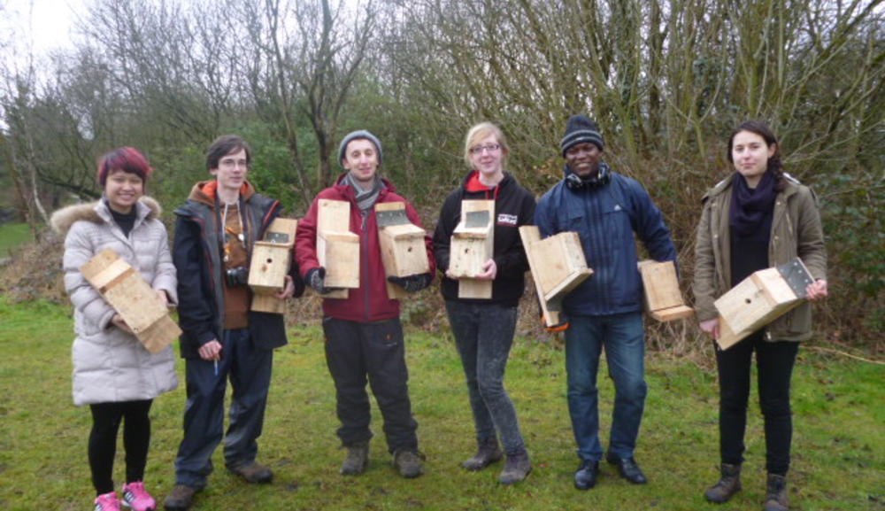 Bird & bat boxes 