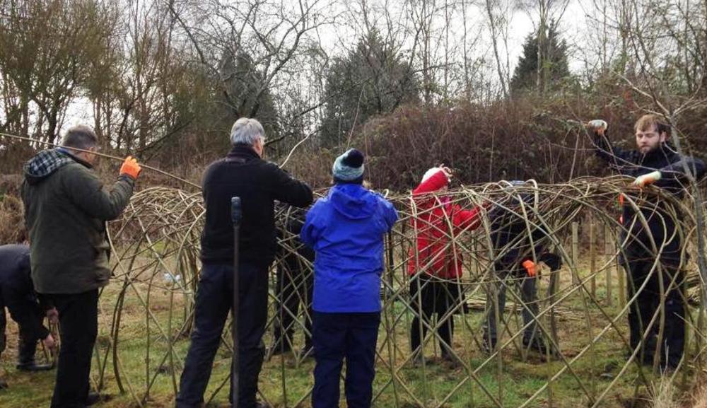 Willow weaving 